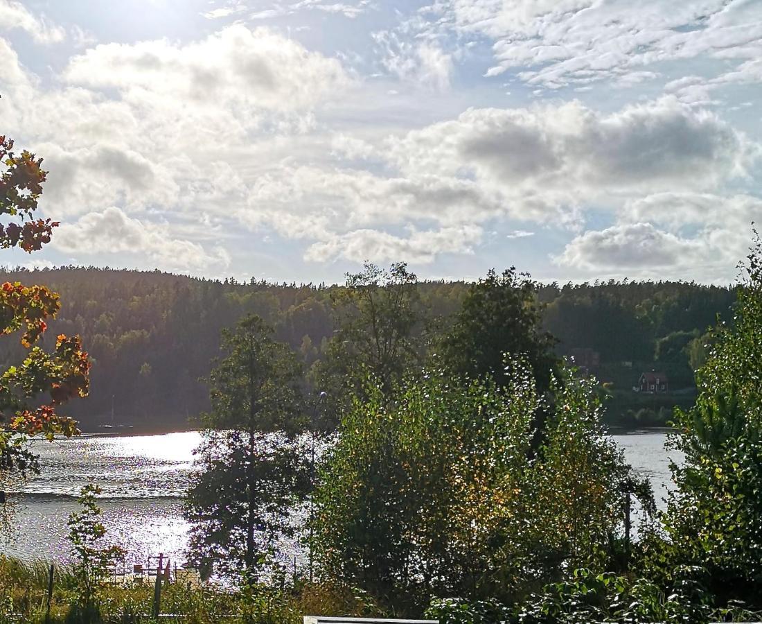 Viken - Cottage By Dalslands Canal Dals Langed Экстерьер фото